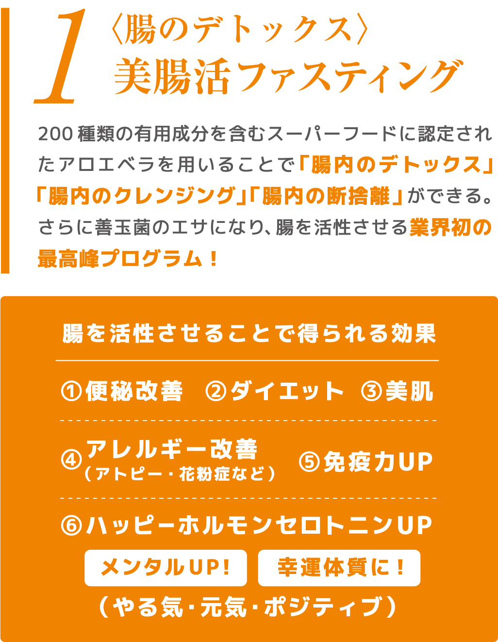 腸もみ美腸セラピスト2day資格取得講座