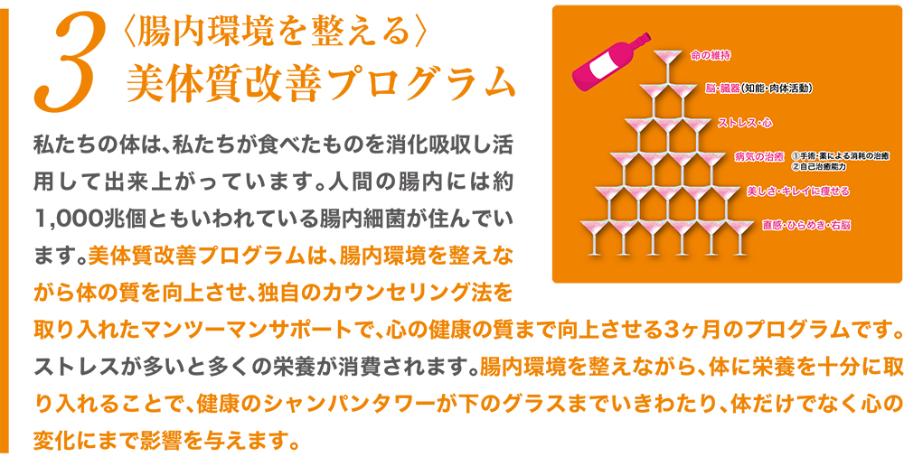 美体質改善プログラム