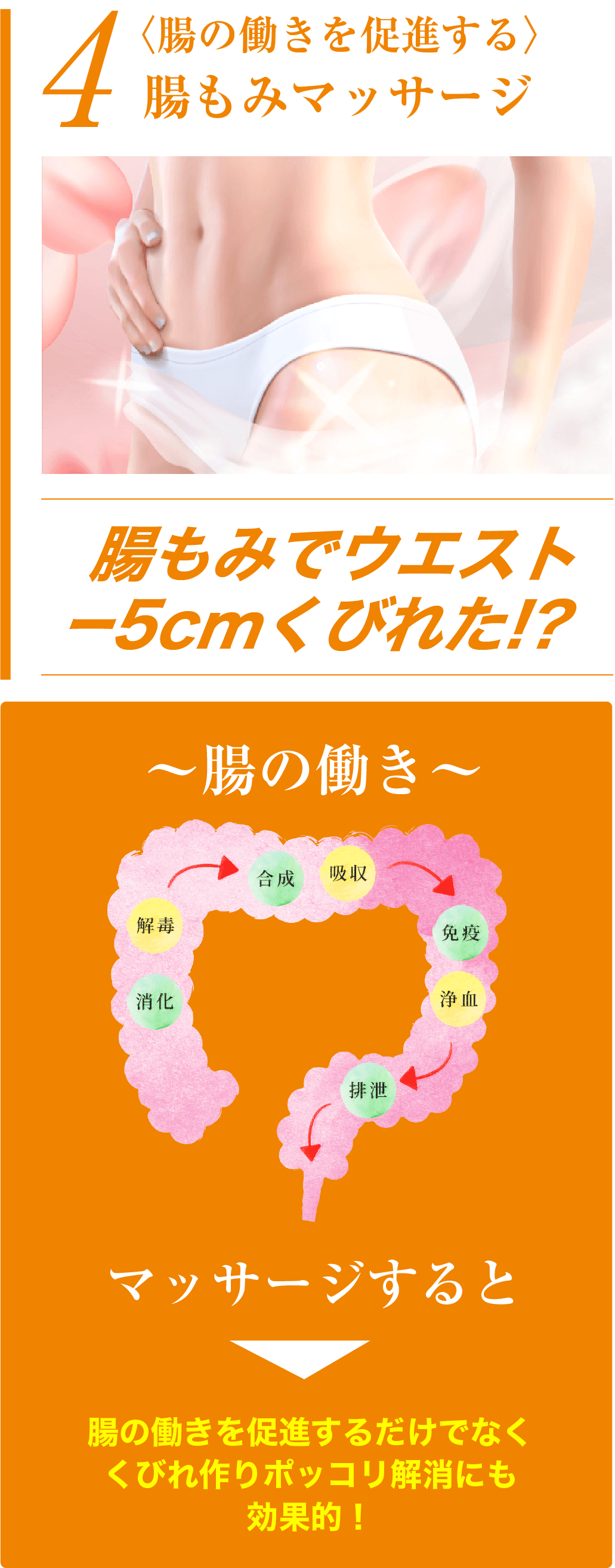 美体質改善プログラム